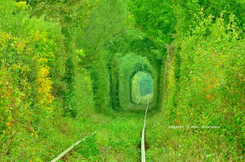 Tunelul Iubirii, comoara ascunsã a României Foto