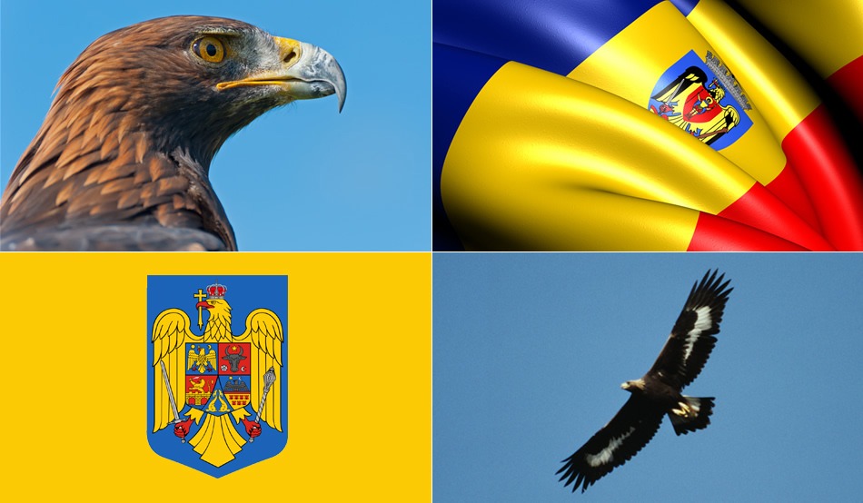 Acvila de munt - pasărea de pe stema naţională a României