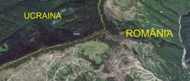 REVOLTĂTOR. Cum sunt rase pădurile românești de la granița cu Ucraina