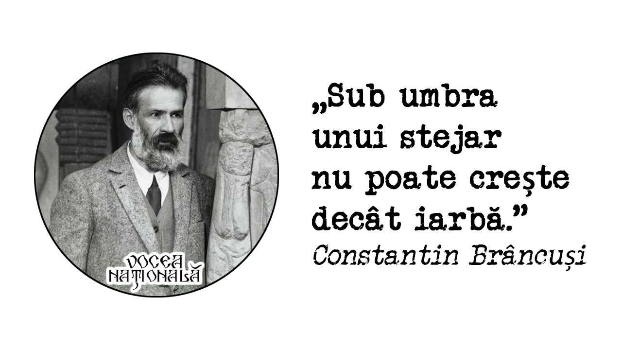 citat de Constantin Brâncuși