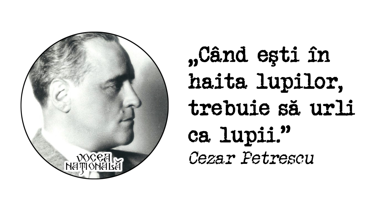 citat despre haită