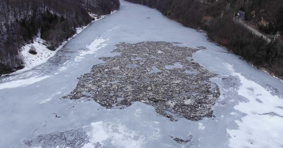 Imaginile ruşinii pe râul Arieş, în Apuseni.