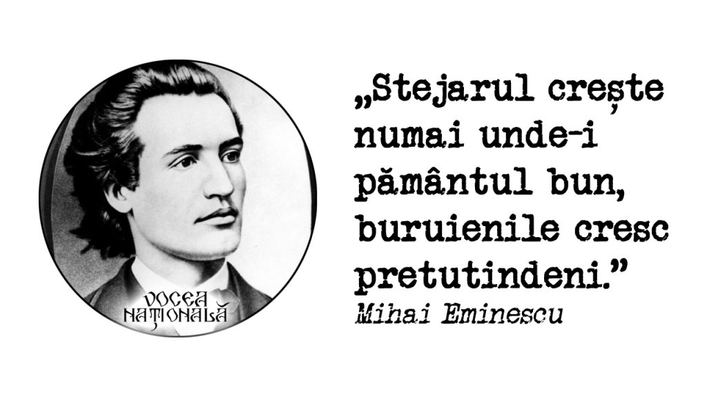 Stejarul crește numai unde-i pământul bun, buruienile cresc pretutindeni