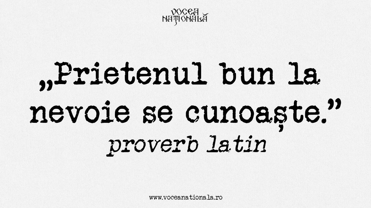 Amicus certus in re incerta cernitur. Prietenul bun la nevoie se cunoaște