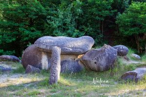 Trovanții din Costești – formațiuni geologice spectaculoase, cunoscute drept pietre vii, situate într-o rezervație naturală din județul Vâlcea, România. Aceste roci sferice și elipsoidale par să crească în dimensiuni după ploaie, un fenomen care a inspirat numeroase legende.